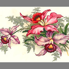 Оригинал схемы вышивки «Серия "Винтаж". Орхидеи» (№1965252)