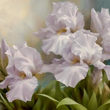Схема вышивки «White Iris Elegance.»
