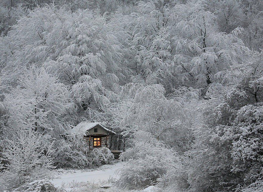 Теплая зима - зима, пейзаж, иней, природа, зимовье, домик в лесу - оригинал
