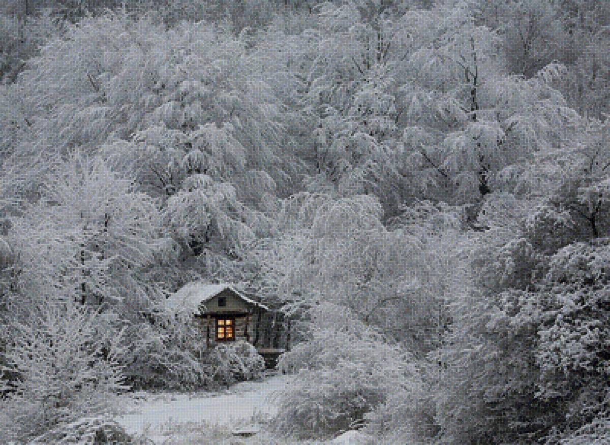 Теплая зима - зимовье, зима, домик в лесу, иней, пейзаж, природа - предпросмотр