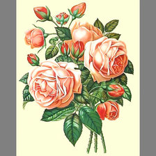 Оригинал схемы вышивки «Серия "Розы".» (№1975546)