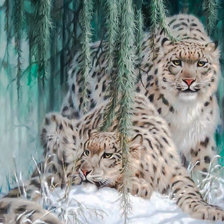 Схема вышивки «Stunning Snow Leopard Pair-1.»