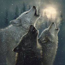 Схема вышивки «HOWLING WOLVES IN HARMONY»