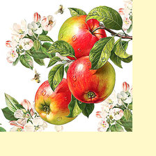 Схема вышивки «Серия "Фруктово-ягодная". Яблоки»