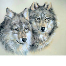 Схема вышивки «Два волка.»