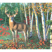 Схема вышивки «Олень в осеннем лесу.»