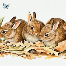 Схема вышивки «Серия "Зайцы-кролики"»