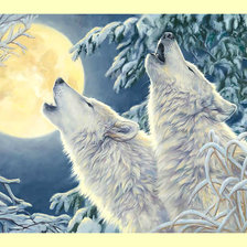 Схема вышивки «Белые волки. Пара.»