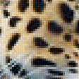 Предпросмотр схемы вышивки «Леопард» (№1986895)