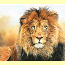 Схема вышивки «Царственный лев.»