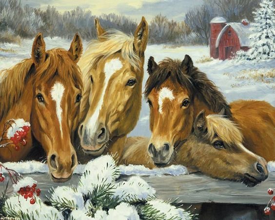 Лошади - домашние животные, лошади, животные - оригинал