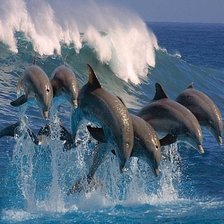 Схема вышивки «дельфины и волна»