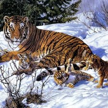 Схема вышивки «тигр на снегу»