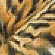Предпросмотр схемы вышивки «Тигры.» (№1991488)
