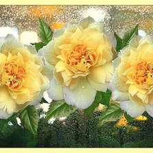 Схема вышивки «Жёлтые розы.»