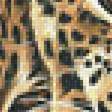 Предпросмотр схемы вышивки «Леопарды. Пара.» (№1994328)
