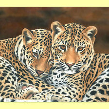 Оригинал схемы вышивки «Леопарды. Пара.» (№1994328)