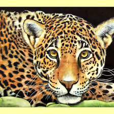 Оригинал схемы вышивки «Леопард.» (№1994383)