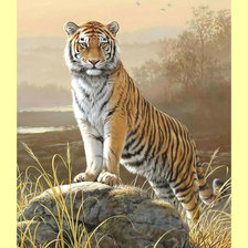 Оригинал схемы вышивки «Тигр.» (№1994389)