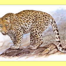 Оригинал схемы вышивки «Леопард.» (№1995363)