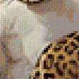 Предпросмотр схемы вышивки «Леопарды. Пара.» (№1995369)