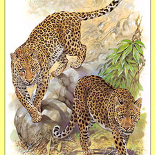 Оригинал схемы вышивки «Леопарды. Пара.» (№1995369)