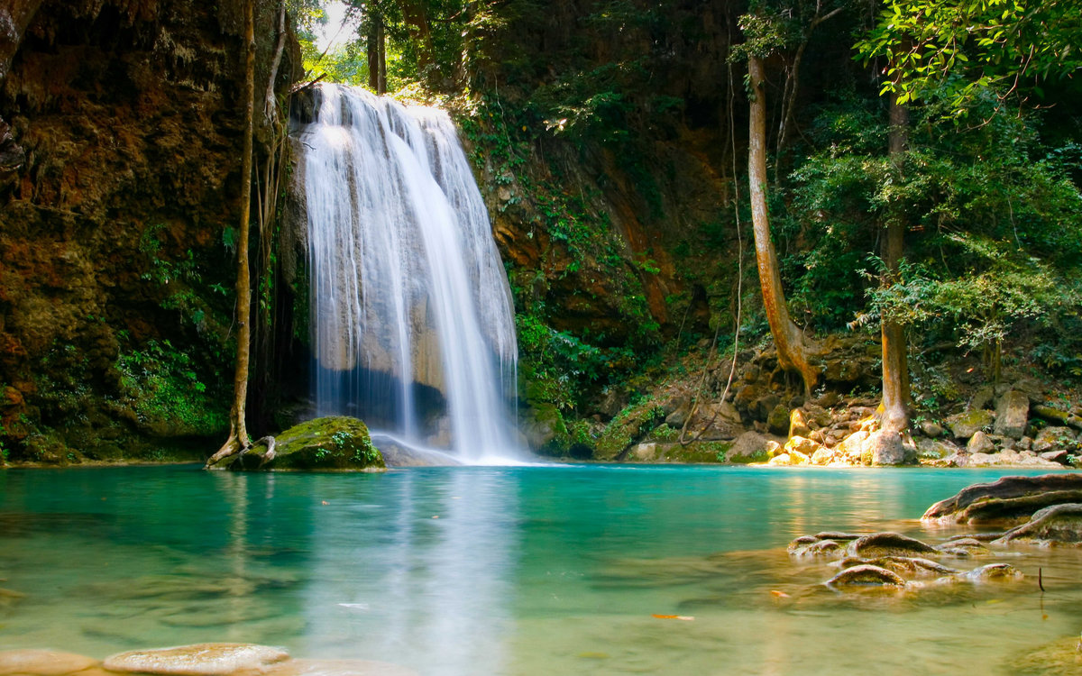 Лесной водопад - озеро, вода, красота, водопад, лес, вид, стиль - оригинал