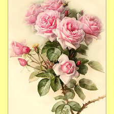 Оригинал схемы вышивки «Розы.» (№1997426)