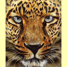 Схема вышивки «Взгляд леопарда.»