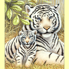 Белые тигры.