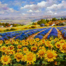Схема вышивки «Lavender And Sunflower Fields.»