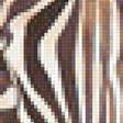 Предпросмотр схемы вышивки «зебры» (№2009798)