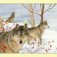 Оригинал схемы вышивки «Волки в зимнем лесу.» (№2010637)