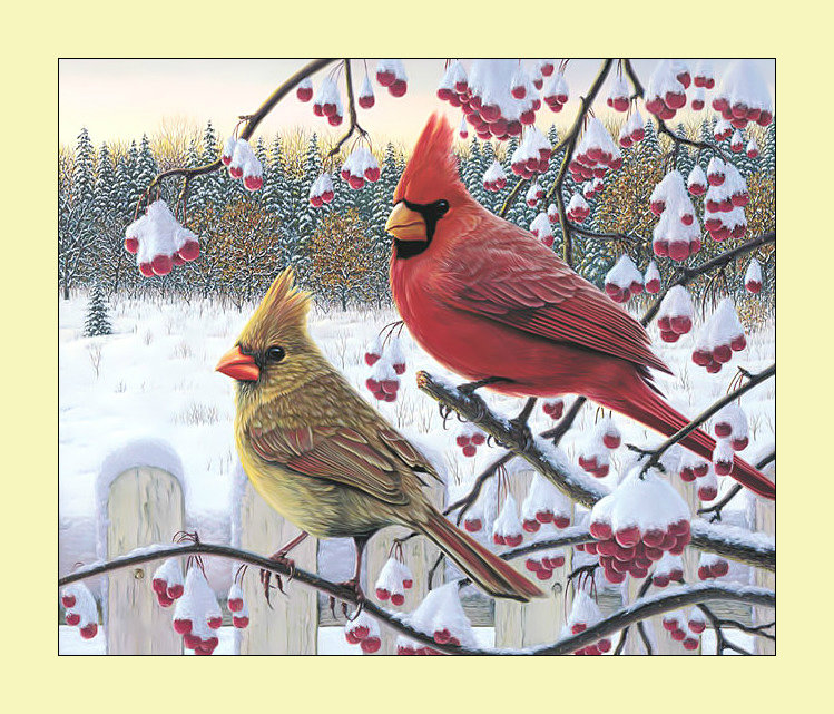 Зимние кардиналы. - зима, живопись, снег, птицы, кардиналы, рябина, пейзаж - оригинал