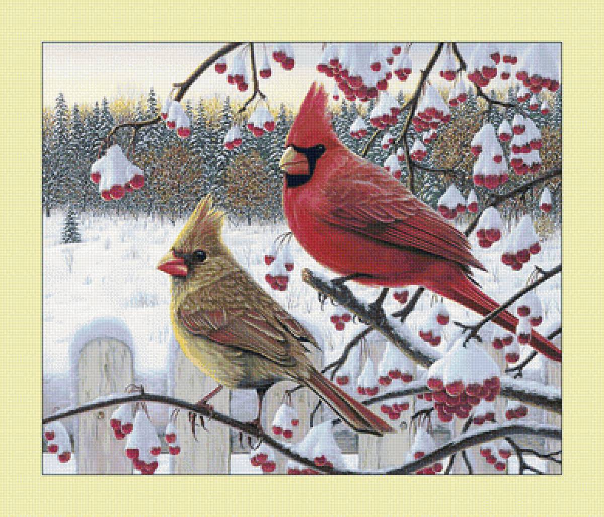 Зимние кардиналы. - снег, птицы, зима, живопись, рябина, кардиналы, пейзаж - предпросмотр