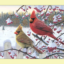 Оригинал схемы вышивки «Зимние кардиналы.» (№2012715)