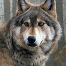 Схема вышивки «Wolf»