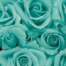 Схема вышивки «Бирюзовые розы»