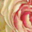 Предпросмотр схемы вышивки «Серия "Букет". Розы» (№2019729)