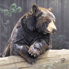 Схема вышивки «Седой медведь»
