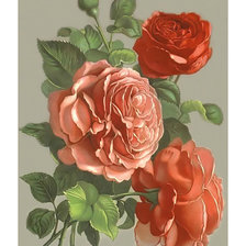 Оригинал схемы вышивки «Розы.» (№2021000)