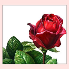 Оригинал схемы вышивки «Роза.» (№2022456)
