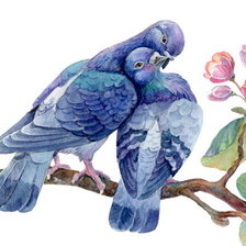 Схема вышивки «Влюблённые голубки»
