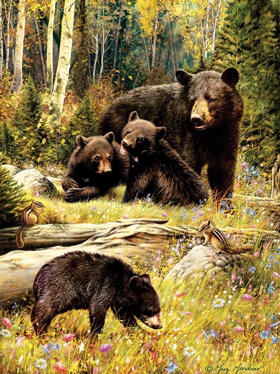 Семья на прогулке - медведь, лес, медвежата, фауна - оригинал