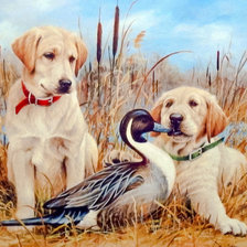 Схема вышивки «Puppies and Duck.»