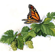 Оригинал схемы вышивки «бабочка» (№2026630)