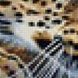 Предпросмотр схемы вышивки «Леопард» (№2027029)