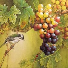Схема вышивки «Птица и виноград»
