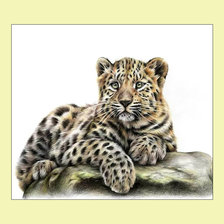 Схема вышивки «Маленький леопард.»
