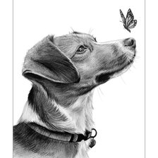 Схема вышивки «Пёс и бабочка.»